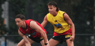 New Demon ready to move on from "tough" final years at St Kilda, reveals likely role for 2024