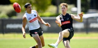 Cruel blow for promising Collingwood SSP prospect