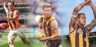 The top ten Hawthorn Hawks players of the 21st century