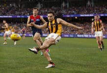 FINAL TEAMS: Hawthorn vs Melbourne - Round 2, 2024