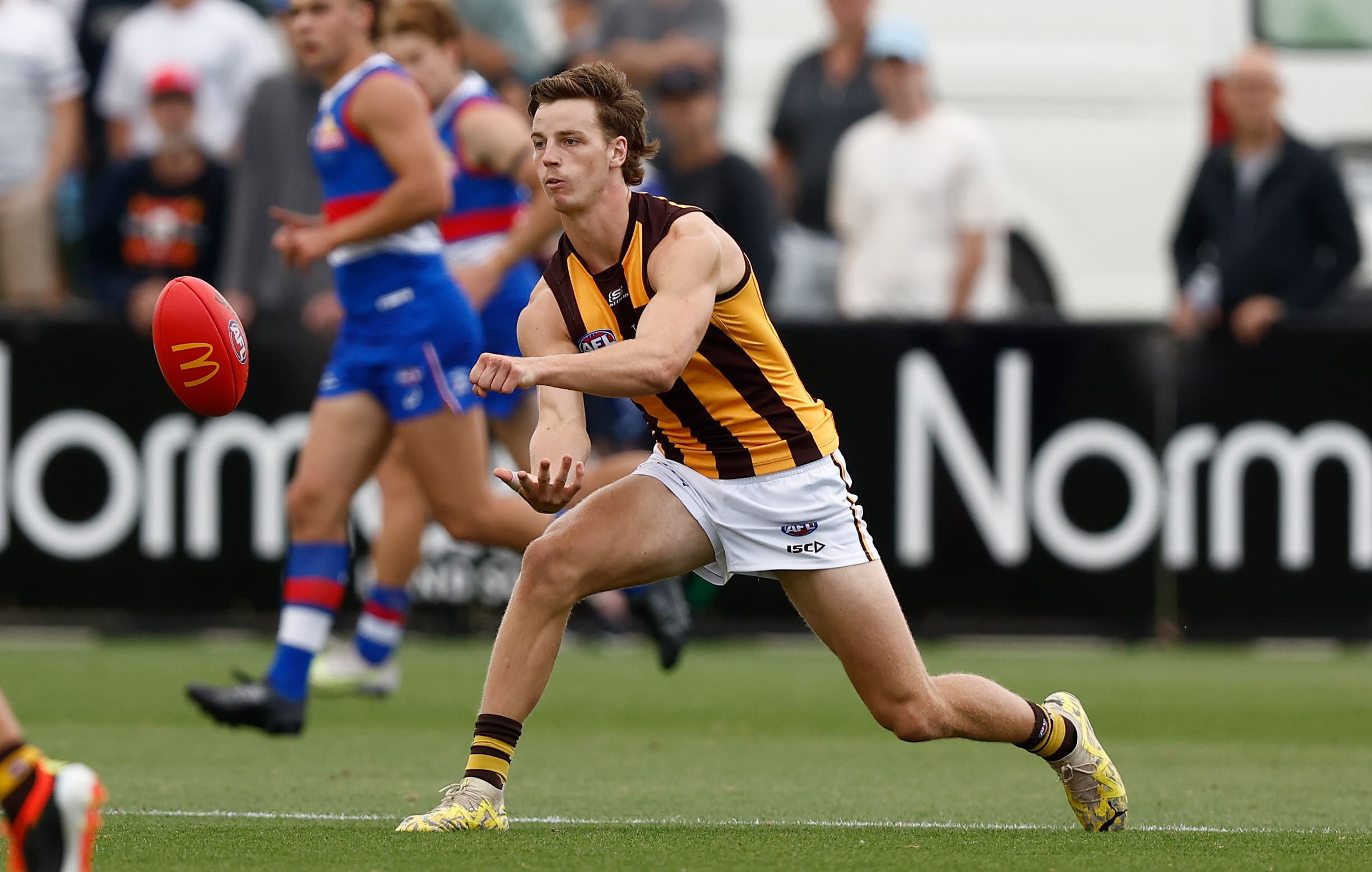 Hawks' Hustwaite inks contract extension