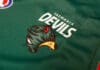 Logo, colours, guernsey and name for new Tasmania AFL team revealed