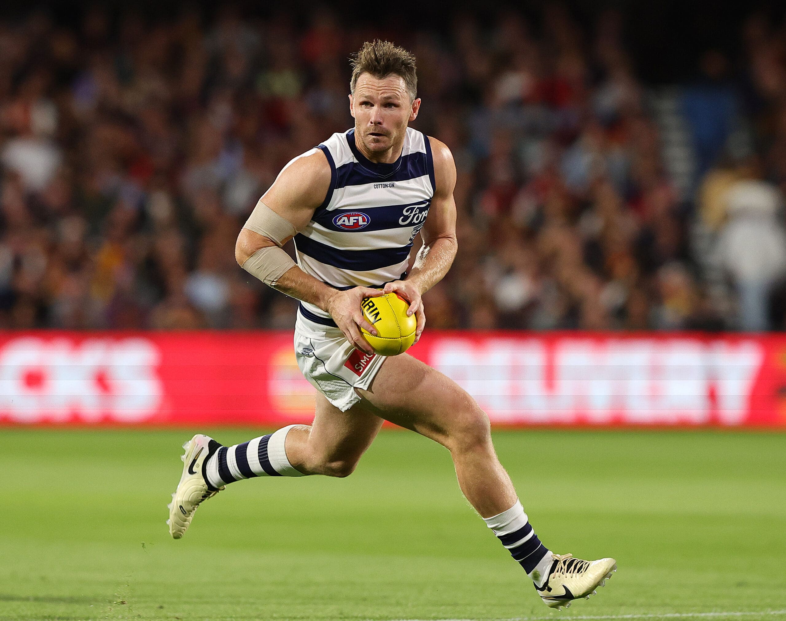 Cats-scan of 'Danger' reveals timeline as young duo deemed ready for Easter Monday