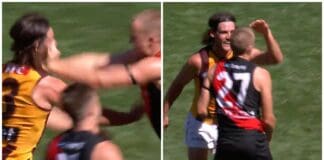 Essendon defender likely to face MRO scrutiny for high strike on Hawk