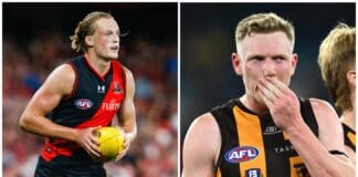 AFL MRO: Essendon defender accepts suspension, Hawks challenge captain's kicking charge