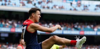 Demons defender sidelined, Brownlow winner hamstrung