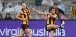 Hawthorn confirm double injury blow in wake of Cats loss
