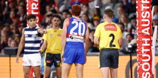 Geelong coach Chris Scott lauds controversial score review in tight finish
