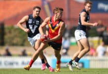 Former Sun, ex-Roo lead SANFL to victory over fast-finishing VFL