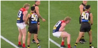 AFL MRO: Tiger to expect charge for hit on Demons star