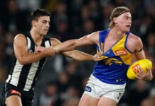 AFL labelled "disgrace" over missed State of Origin opportunity as rival code capitalises