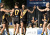 Ex-Swan fires for Tigers, young Panther stakes Mid-Season Draft claim: SANFL Wrap - Round 5