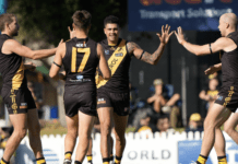Ex-Swan fires for Tigers, young Panther stakes Mid-Season Draft claim: SANFL Wrap - Round 5