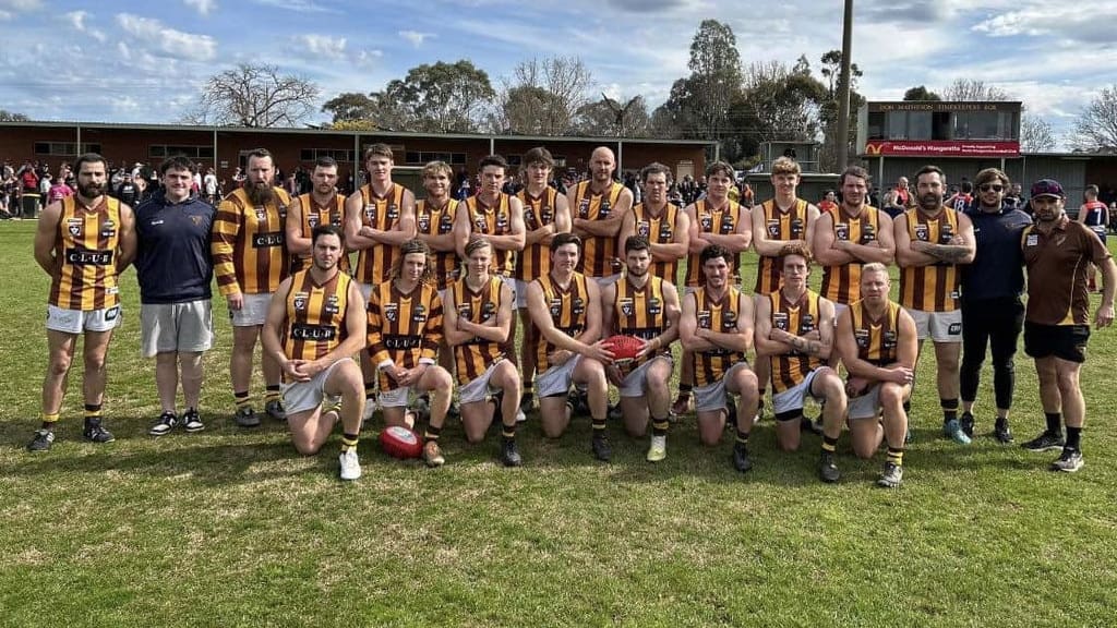 North Wangaratta Football Netball Club is raising awareness for domestic violence this weekend. Picture: North Wangaratta Football Netball Club.