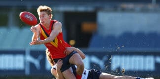 Crows continue finals push as defender shines in return, Glenelg send warning shot, Dogs lock away finals spot: SANFL Wrap - Round 16