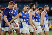 North Melbourne tagger Will Phillips draws praise after shutting down Clayton Oliver
