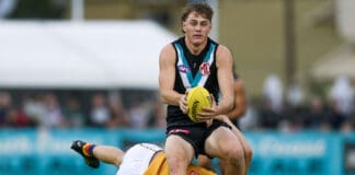 Power utility extends his time at Alberton