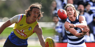 The untried Bulldog who could follow in the footsteps of a young Cats star