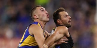Former two-club AFL ruckman makes WAFL return