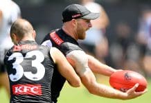 Training notes: Collingwood, Melbourne veterans make early pre-season returns