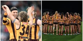Hawthorn claim McClelland Trophy, receive massive payday