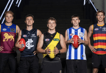 Screen Shot 2024-11-22 at 12.26.31 am