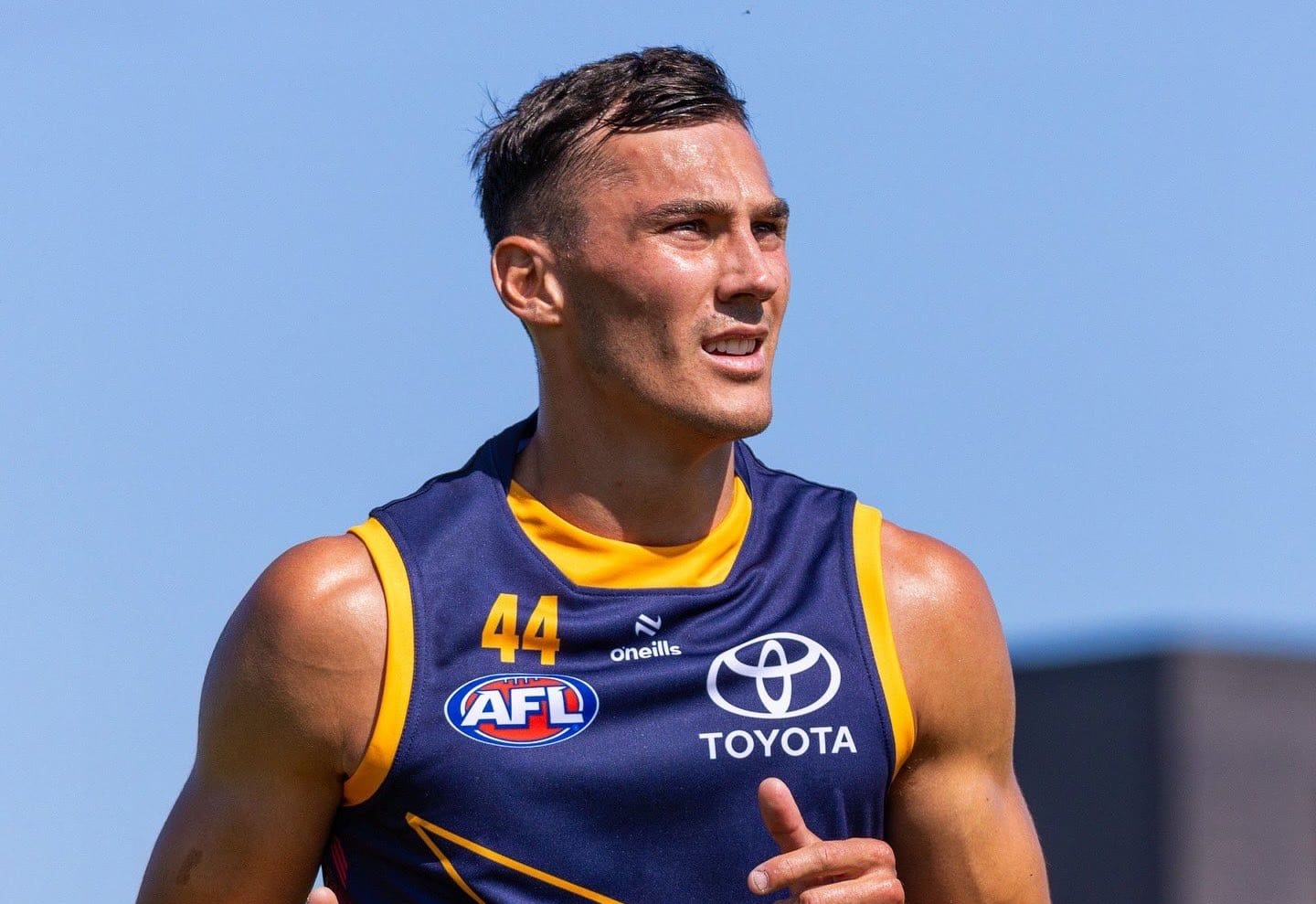 AFL 2025: How open is each club's premiership window?