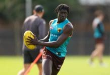 Let me entertain you: The Hawk ready to excite in 2025