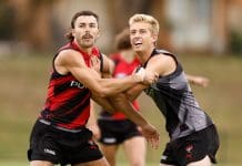 The 19-game Bomber who could be Essendon's difference maker