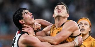 ADELAIDE, AUSTRALIA - MAY 19:  Dante Visentini of the Power  rucks against   Lloyd Meek of the Hawks  during the round 10 AFL match between Yartapuulti (the Port Adelaide Power) and Hawthorn Hawks at Adelaide Oval, on May 19, 2024, in Adelaide, Australia. (Photo by Mark Brake/Getty Images)