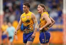 PERTH, AUSTRALIA - JULY 14: Brady Hough and Harley Reid of the Eagles look on during the round 18 AFL match between West Coast Eagles and Brisbane Lions at Optus Stadium, on July 14, 2024, in Perth, Australia. (Photo by Paul Kane/Getty Images)