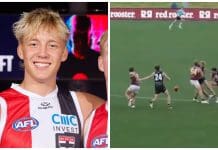 VFL Tribunal: St Kilda’s Alix Tauru learns fate for big bump