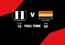 LIVE: Collingwood vs Adelaide – Round 10, 2025