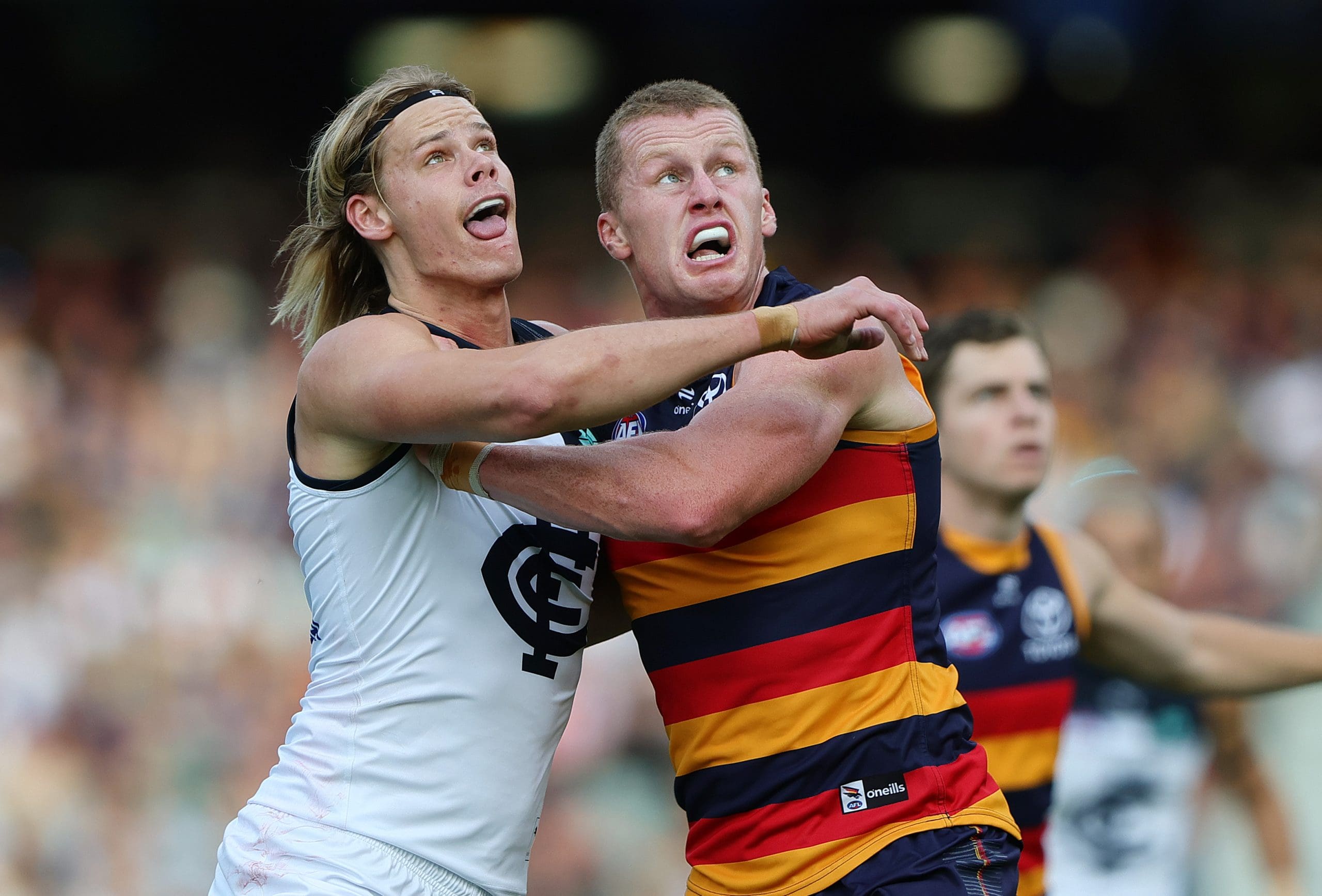 ADELAIDE, AUSTRALIA - MAY 03: Tom De Koning of the Blues and Reilly O'Brien of the Crows during the 2025 AFL Round 08 match between the Adelaide Crows and the Carlton Blues at Adelaide Oval on May 3, 2025 in Adelaide, Australia. (Photo by Sarah Reed/AFL Photos via Getty Images)