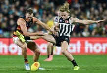 ADELAIDE, AUSTRALIA - MAY 10: Jordan Dawson of the Crows competes with Miles Bergman of the Power  during the round nine AFL match between Port Adelaide Power and Adelaide Crows at Adelaide Oval, on May 10, 2025, in Adelaide, Australia. (Photo by Mark Brake/Getty Images)