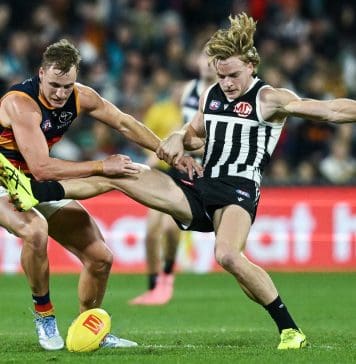 ADELAIDE, AUSTRALIA - MAY 10: Jordan Dawson of the Crows competes with Miles Bergman of the Power  during the round nine AFL match between Port Adelaide Power and Adelaide Crows at Adelaide Oval, on May 10, 2025, in Adelaide, Australia. (Photo by Mark Brake/Getty Images)