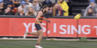 “That is not an accident”: Crucial missed umpires call in Adelaide-Collingwood match