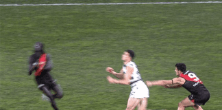 AFL MRO: Bombers star faces nervous wait after friendly fire incident