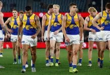 MELBOURNE, AUSTRALIA - AUGUST 02: The Eagles look dejected after a loss during the 2025 AFL Round 21 match between the Melbourne Demons and the West Coast Eagles at Marvel Stadium on August 2, 2025 in Melbourne, Australia. (Photo by Michael Willson/AFL Photos via Getty Images)
