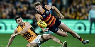 ADELAIDE, AUSTRALIA - AUGUST 01: Mitchell Hinge of the Crows handballs over Conor Nash of the Hawks during the round 21 AFL match between Adelaide Crows and Hawthorn Hawks at Adelaide Oval on August 01, 2025 in Adelaide, Australia. (Photo by Mark Brake/Getty Images)