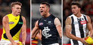 Untitled design (96)