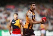 MELBOURNE, AUSTRALIA - JUNE 01: Ned Reeves of the Hawks takes possession of the ball during the round 12 AFL match between Hawthorn Hawks and Adelaide Crows at Melbourne Cricket Ground, on June 01, 2024, in Melbourne, Australia. (Photo by Morgan Hancock/AFL Photos/via Getty Images)