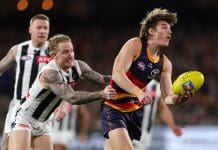 ADELAIDE, AUSTRALIA - SEPTEMBER 04: Josh Worrell of the Crows and Beau McCreery of the Magpies during the AFL First Qualifying Final match between the Adelaide Crows and the Collingwood Magpies at Adelaide Oval on September 04, 2025 in Adelaide, Australia. (Photo by Sarah Reed/AFL Photos via Getty Images)