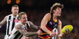 ADELAIDE, AUSTRALIA - SEPTEMBER 04: Josh Worrell of the Crows and Beau McCreery of the Magpies during the AFL First Qualifying Final match between the Adelaide Crows and the Collingwood Magpies at Adelaide Oval on September 04, 2025 in Adelaide, Australia. (Photo by Sarah Reed/AFL Photos via Getty Images)