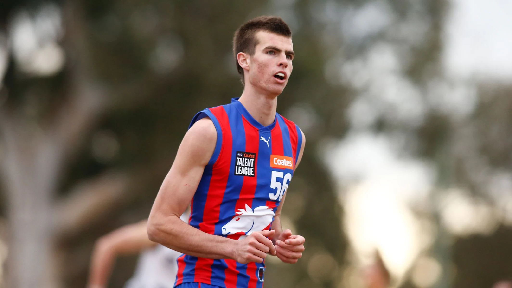 Will Darcy. Credit Western Bulldogs.