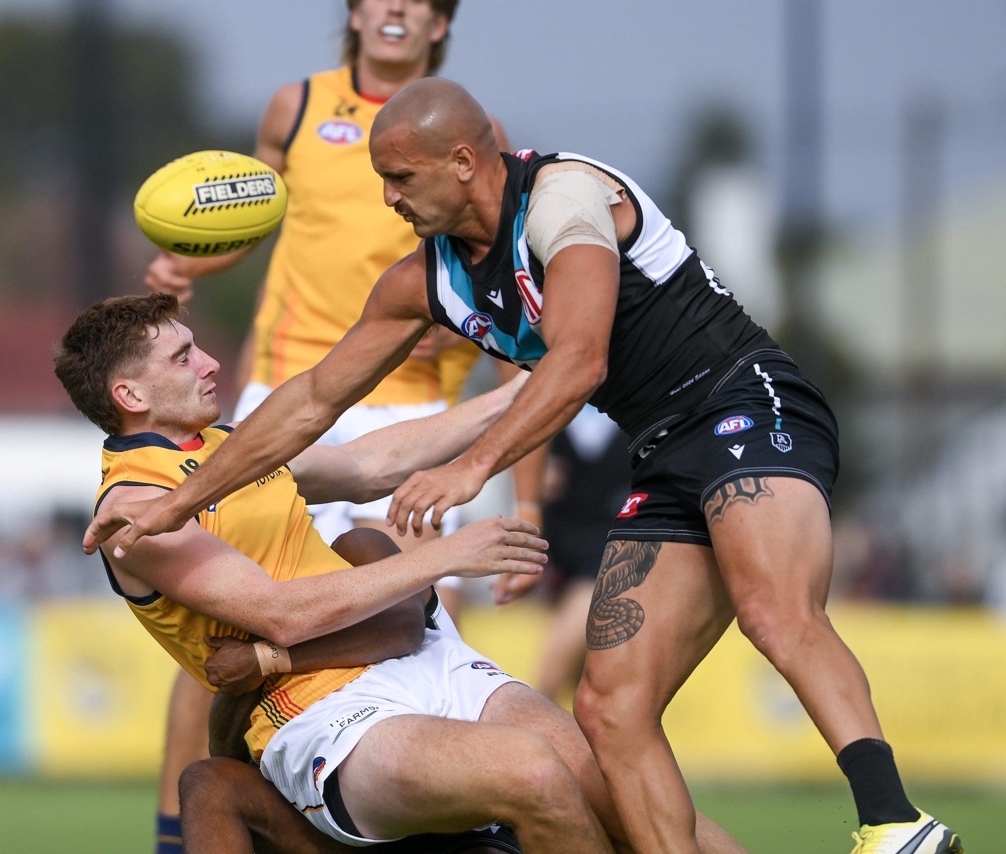 ADELAIDE, AUSTRALIA - FEBRUARY 23: Mark Keane of the Crows tackled by Willie Rioli of the Power and Sam Powell-Pepper of the Power causing a concussion during an AFL practice match between Port Adelaide Power and Adelaide Crows at Alberton Oval on February 23, 2024 in Adelaide, Australia. (Photo by Mark Brake/Getty Images)